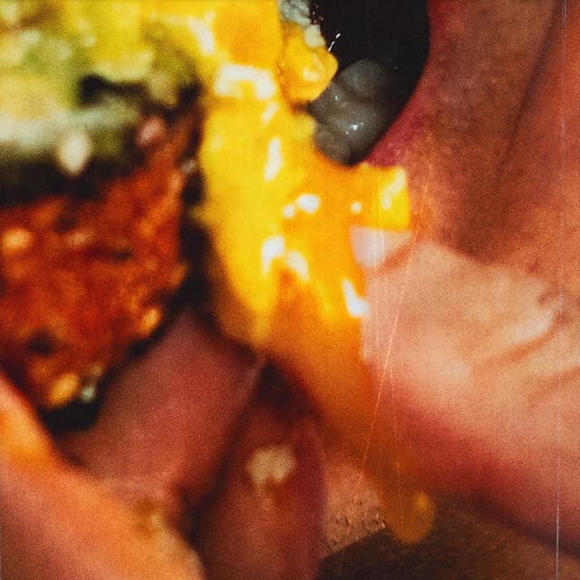 AVO TOAST cover
