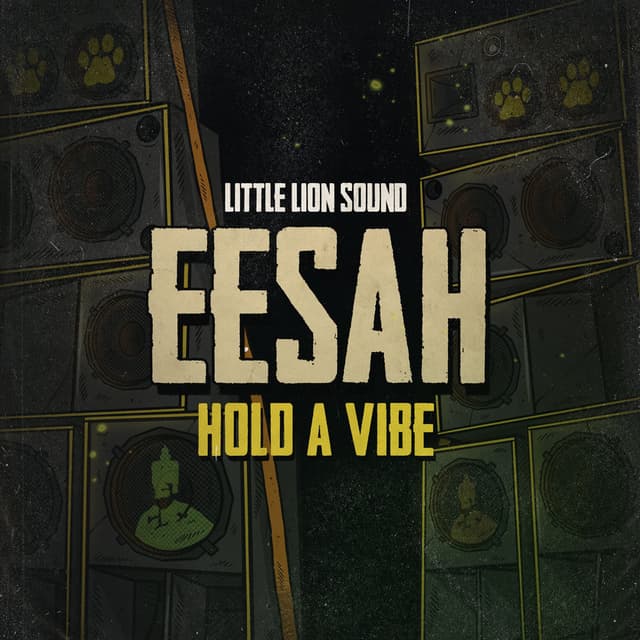 Hold A Vibe cover