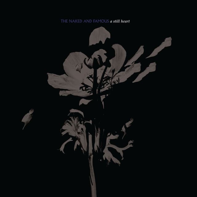 A Still Heart cover