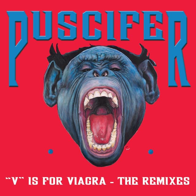 "V" Is For Viagra, the Vagina (Remixes) cover