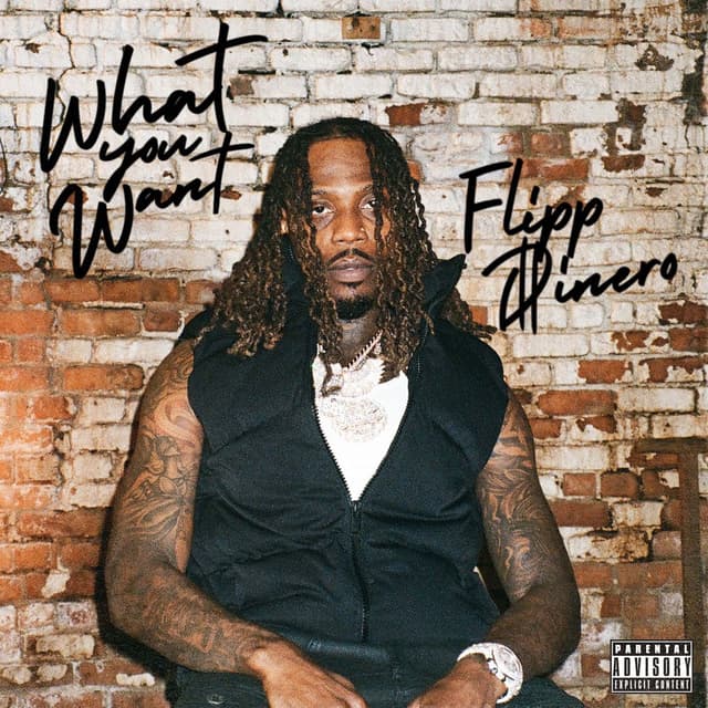 What You Want cover
