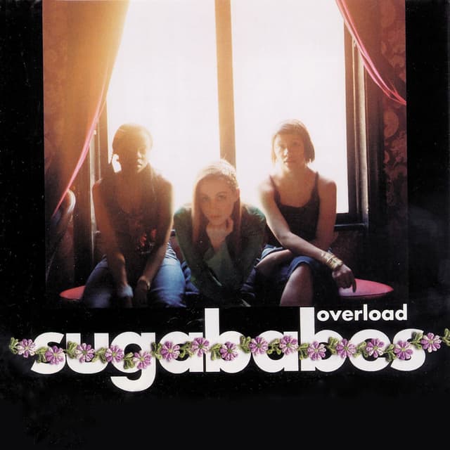 Overload cover