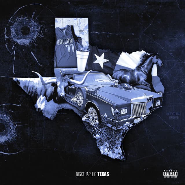 Texas cover