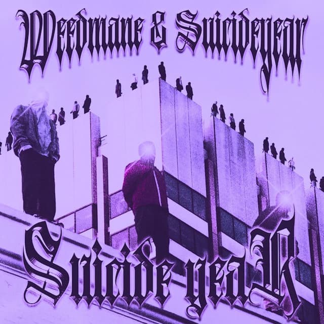 Suicide Year (Slowed + Reverb) cover