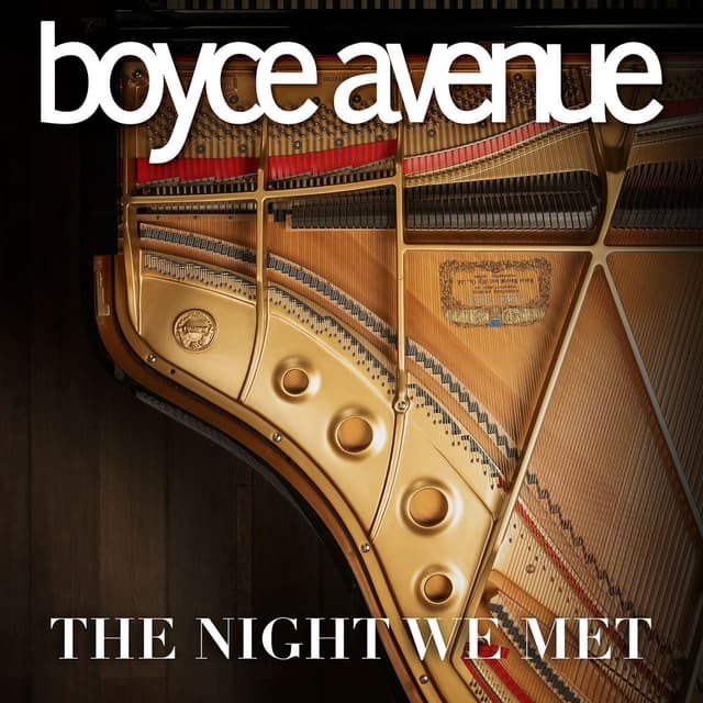 The Night We Met cover