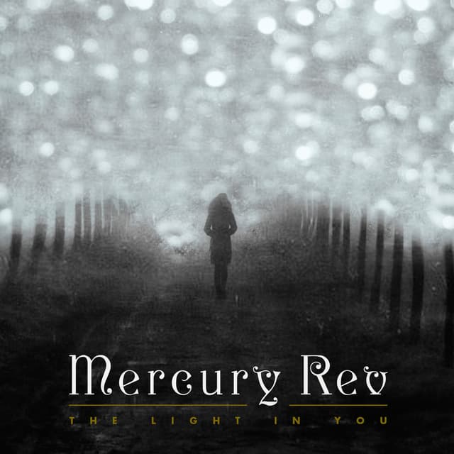 The Light in You album cover