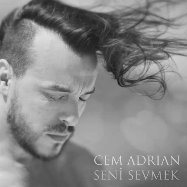 Seni Sevmek cover