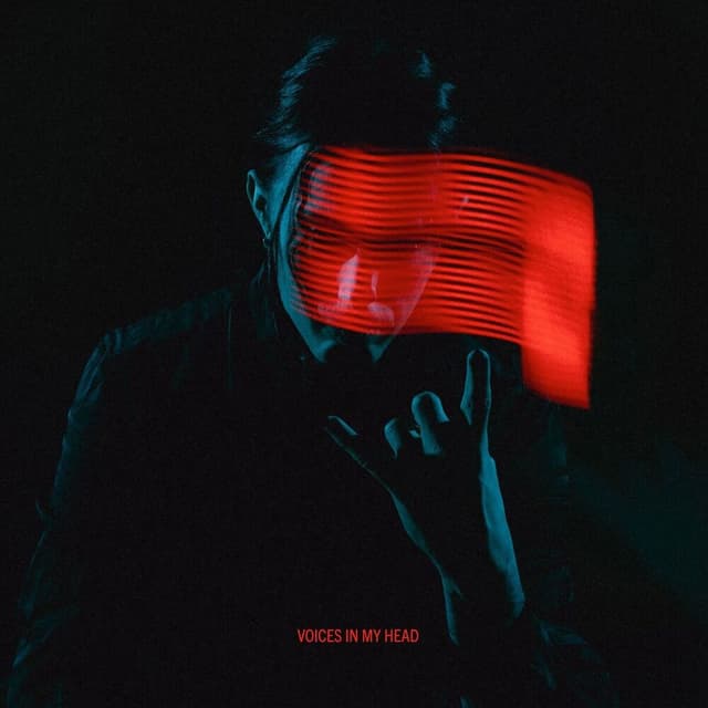 Voices in My Head album cover