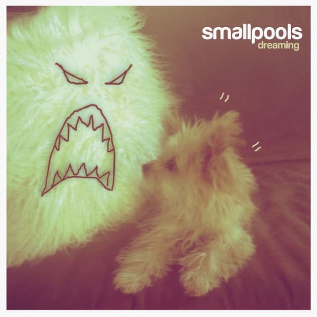 Dreaming album cover