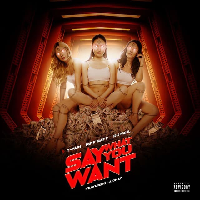 Say What You Want cover