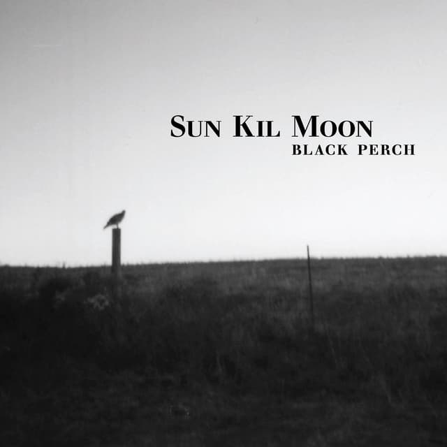 Black Perch cover