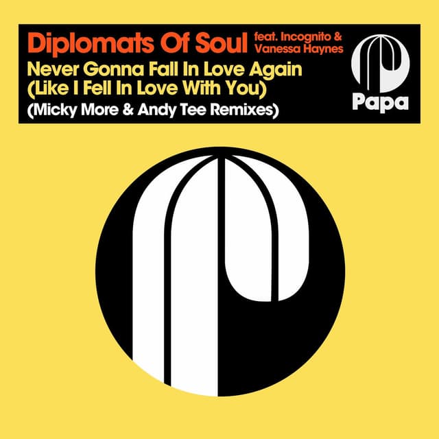 Never Gonna Fall In Love Again (Like I Fell In Love With You) (Micky More & Andy Tee Remixes) cover