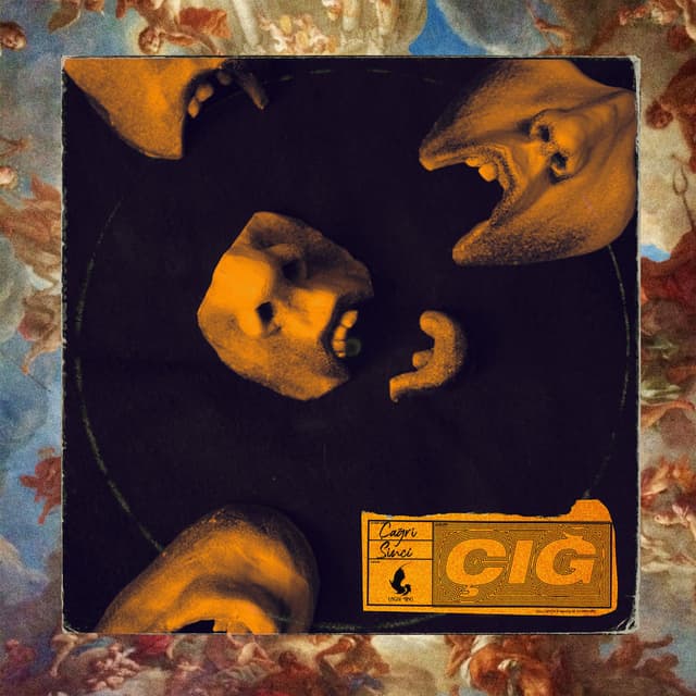 Çığ cover