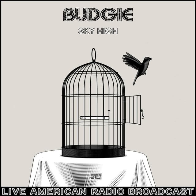 Sky High (Live) cover