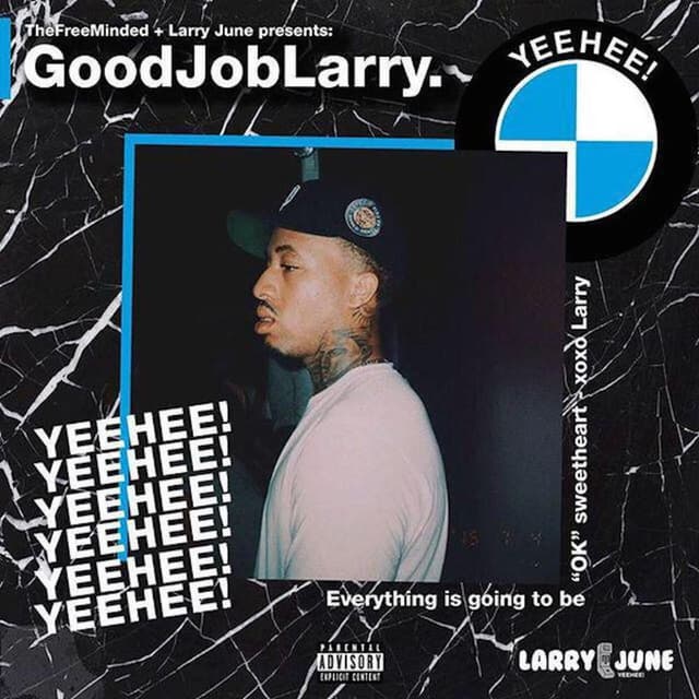 Good Job Larry cover