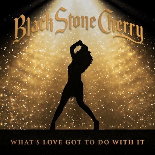 What's Love Got To Do With It cover