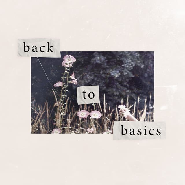 Back To Basics cover