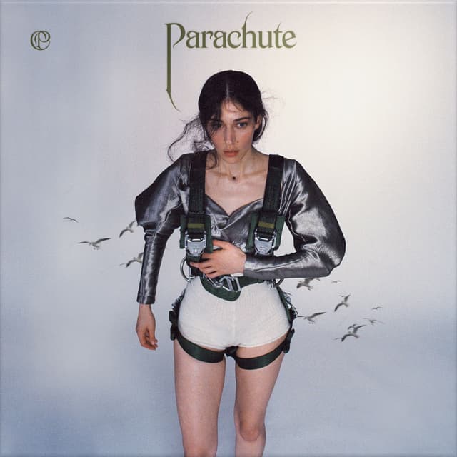 Parachute cover
