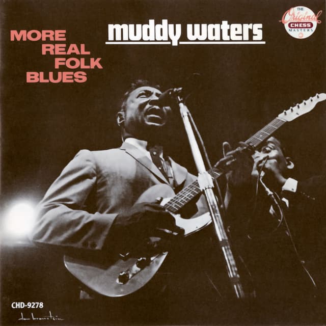 More Real Folk Blues cover