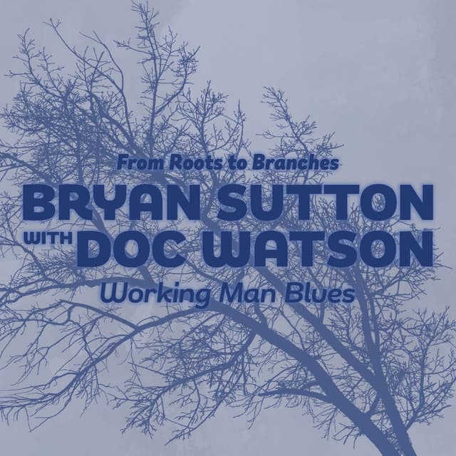 Working Man Blues album cover