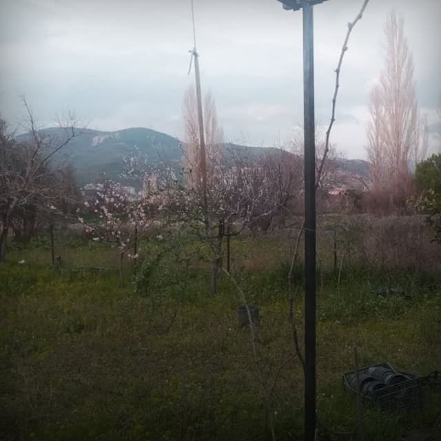 Decompose cover
