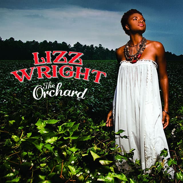 The Orchard album cover