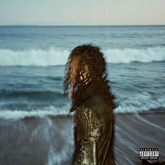 Wavs cover