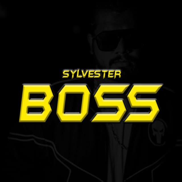 Boss cover