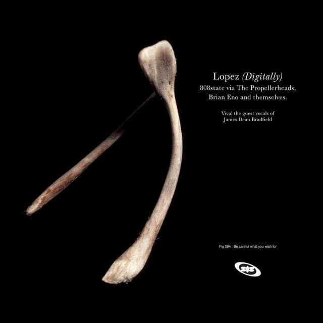 Lopez cover