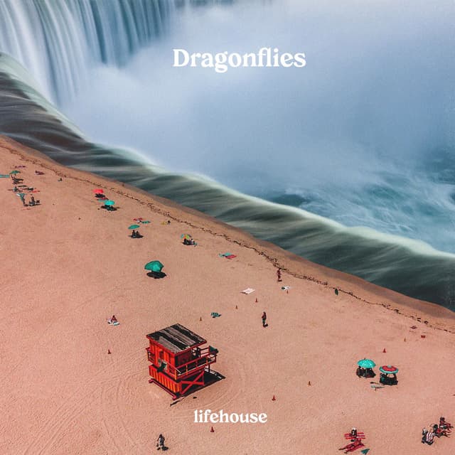 Dragonflies cover