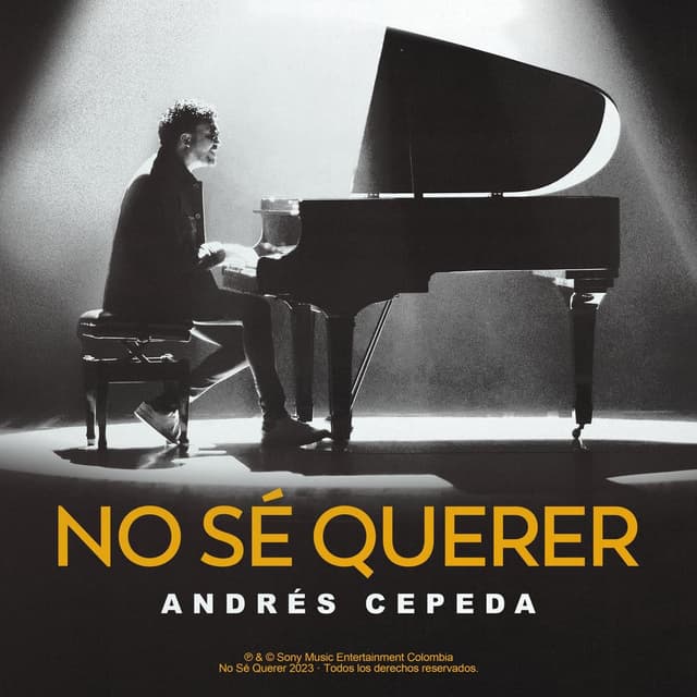 No sé querer cover