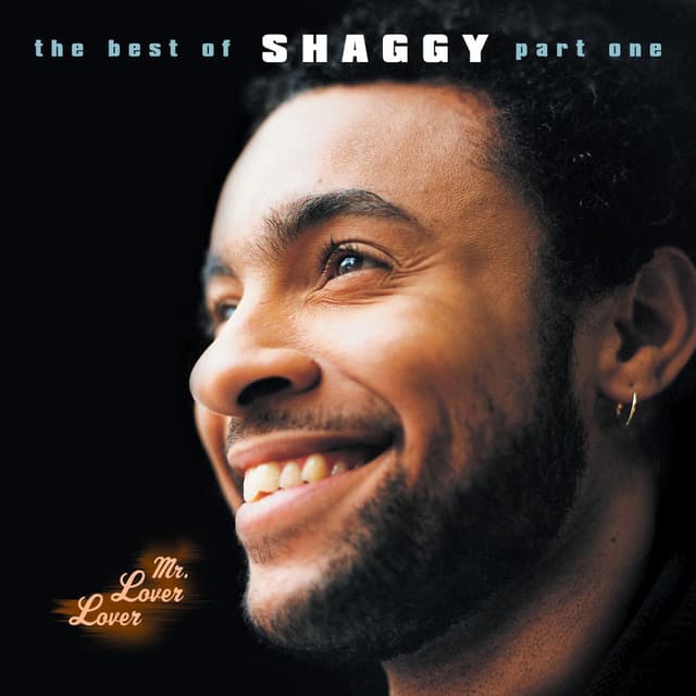 Mr Lover Lover - The Best Of Shaggy... (Part 1) cover