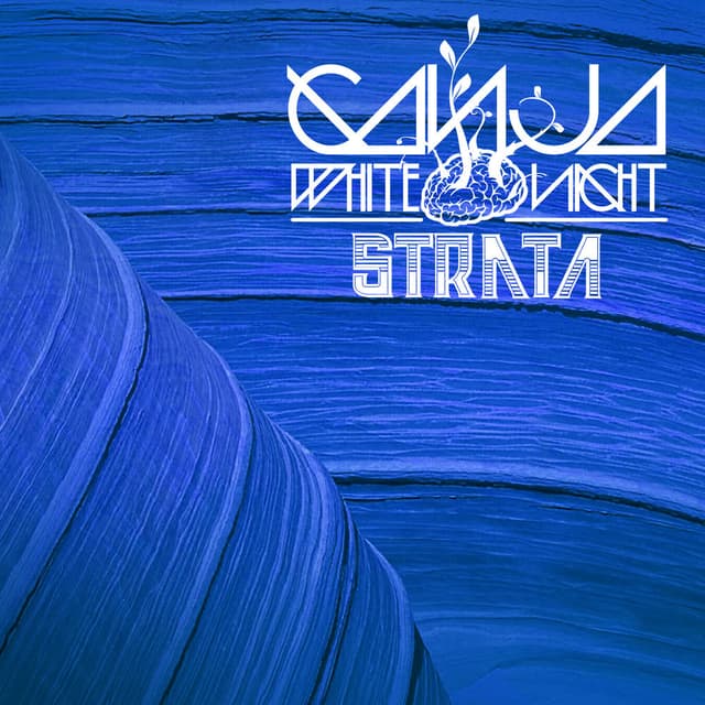 Strata cover