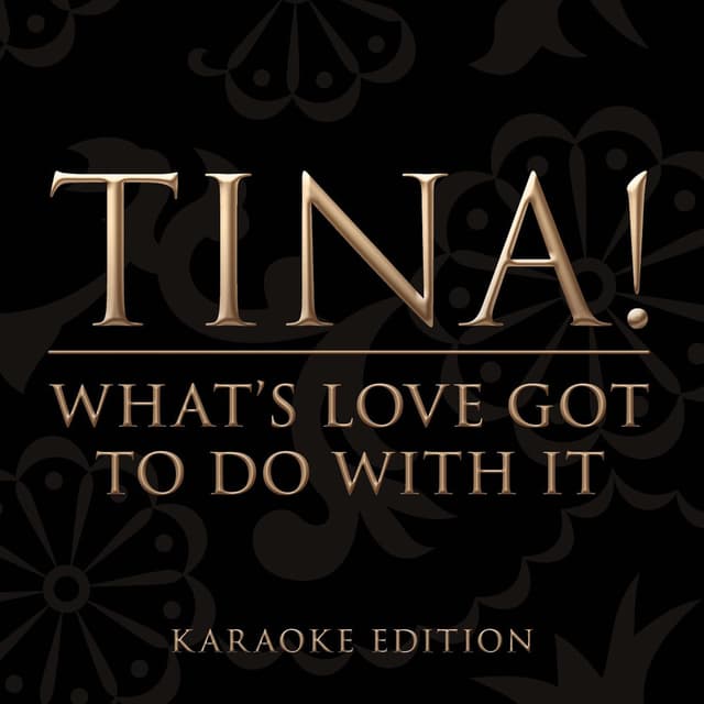 What's Love Got to Do with It (Karaoke Version) cover