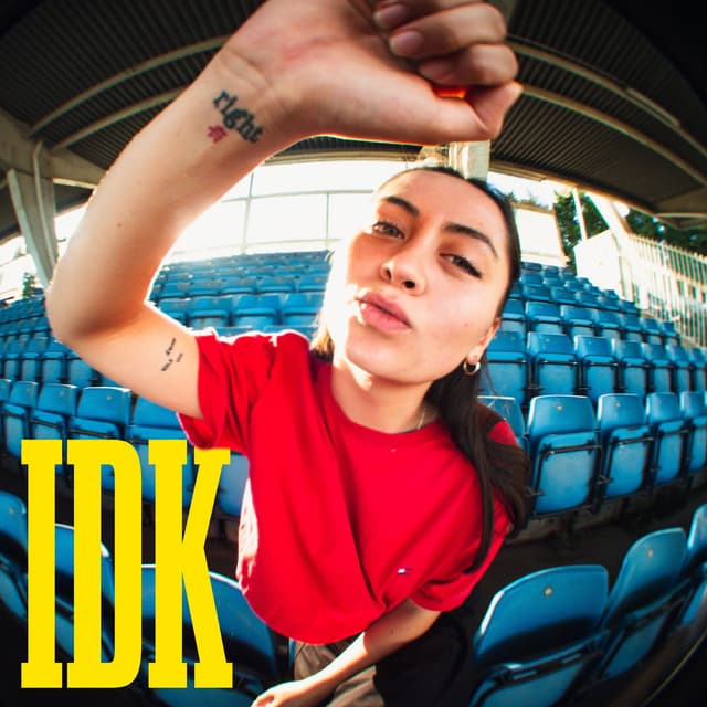 IDK cover