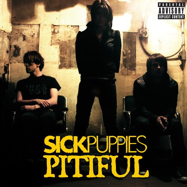 Pitiful cover