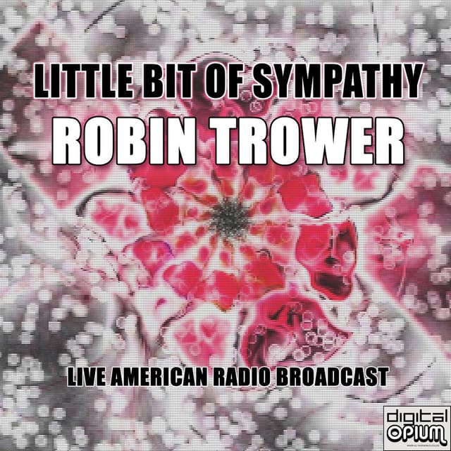 Little Bit Of Sympathy (Live) cover