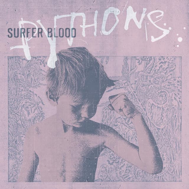 Pythons album cover