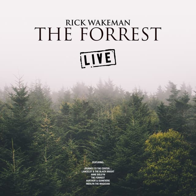 The Forrest (Live) cover