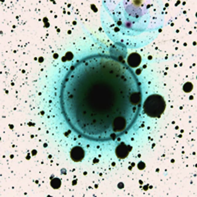 Simple Science (Todd Osborn Remix) cover