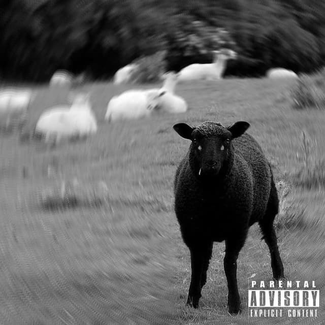 Black Sheep's First Iteration cover