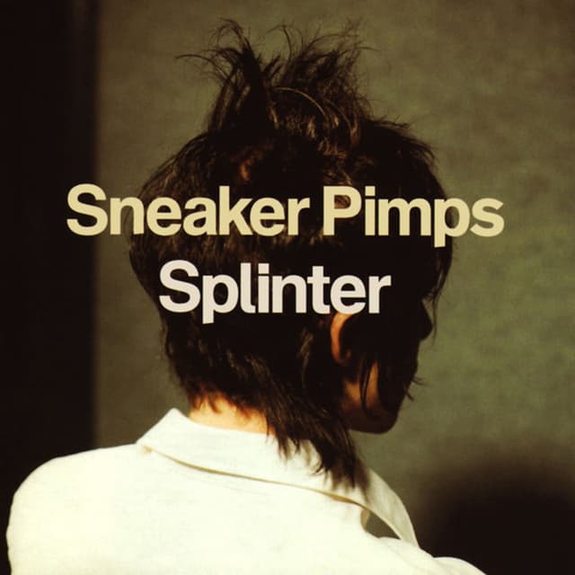 Splinter album cover