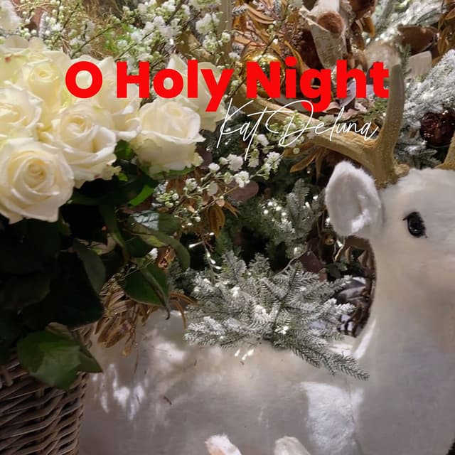 O Holy Night cover