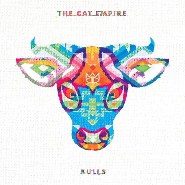 Bulls cover