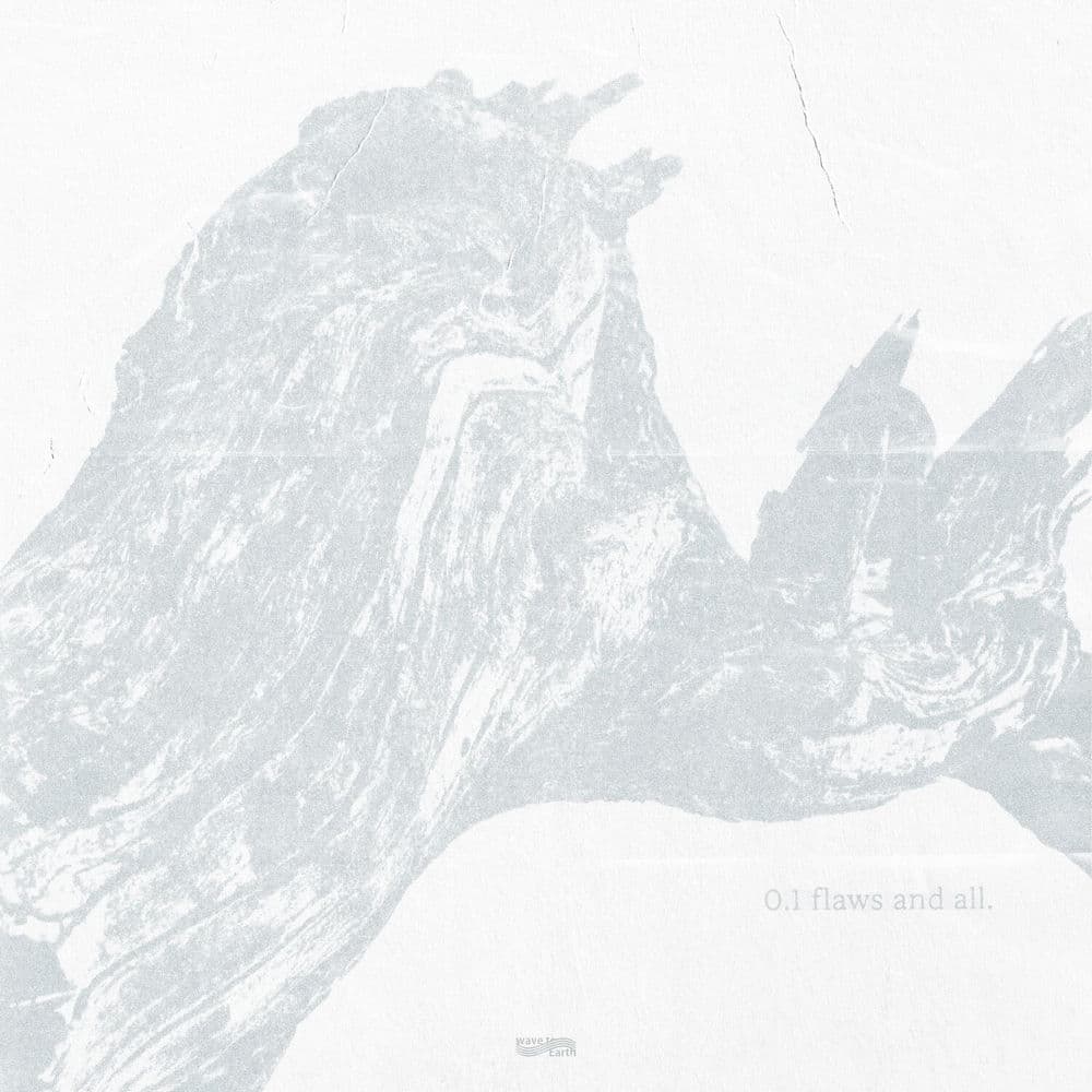 0.1 flaws and all. cover