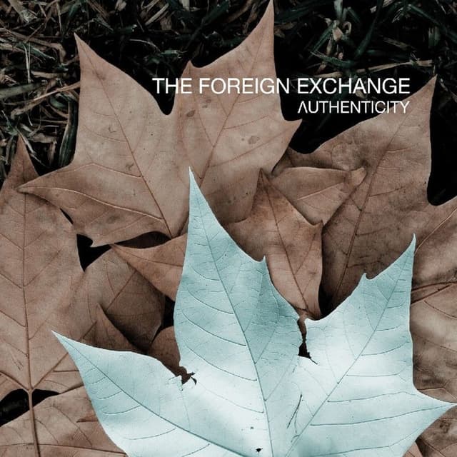 Authenticity album cover