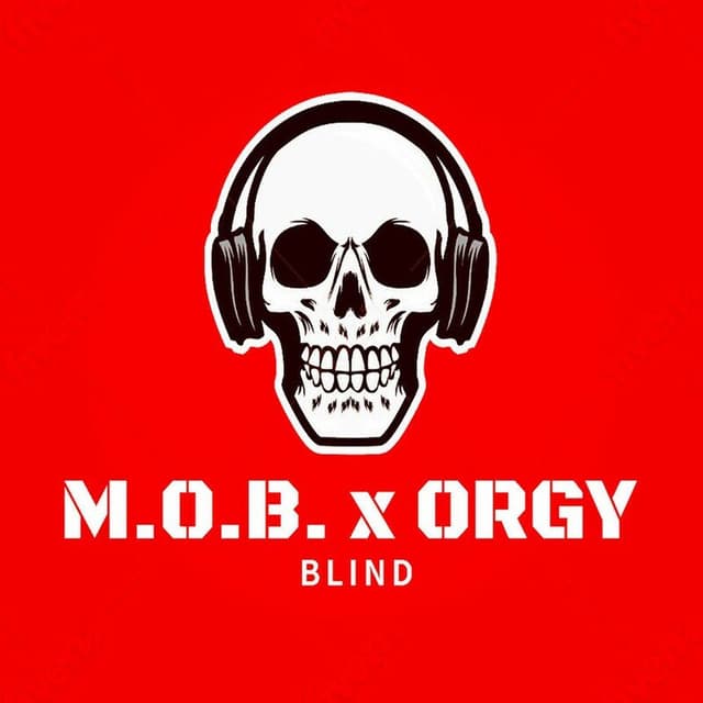 Blind cover