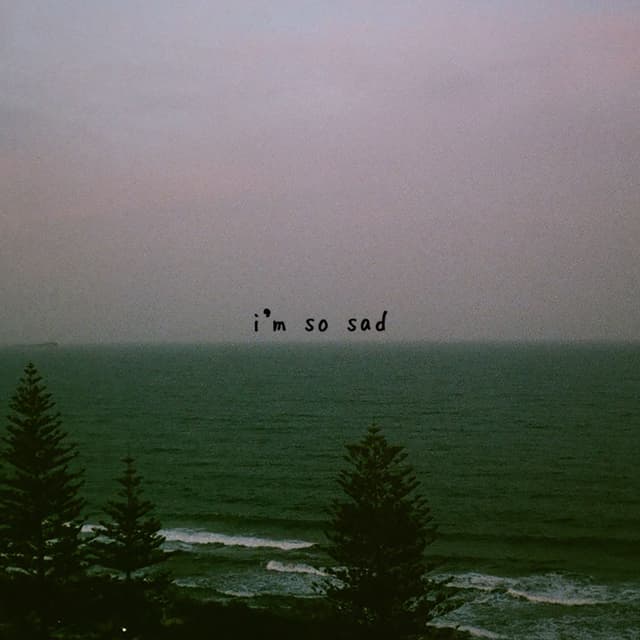 i'm so sad cover