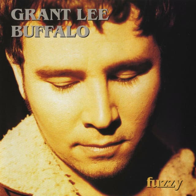 Fuzzy album cover