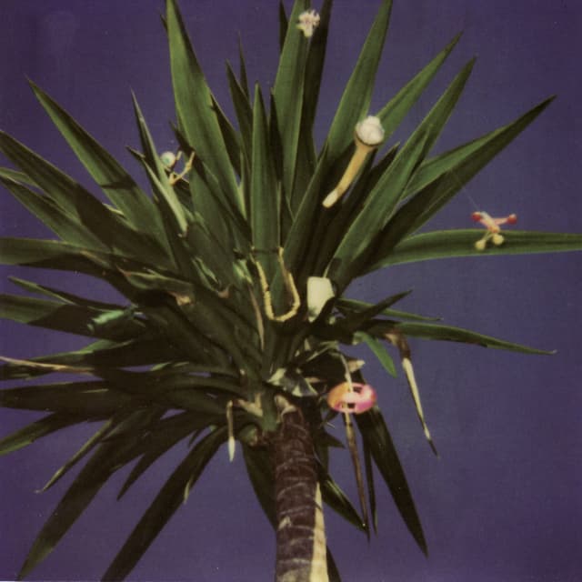 Zopilote Machine album cover